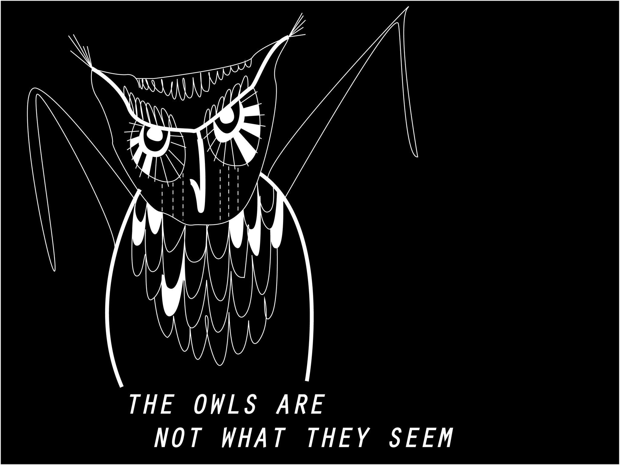 Inspiration source No 2 - Twin Peaks